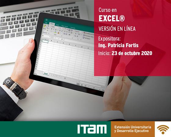 Póster Curso en Excel Versión en línea